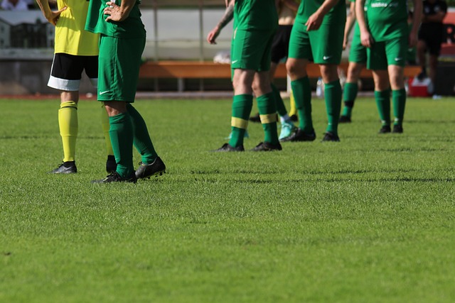 审视他们的 审视他们的