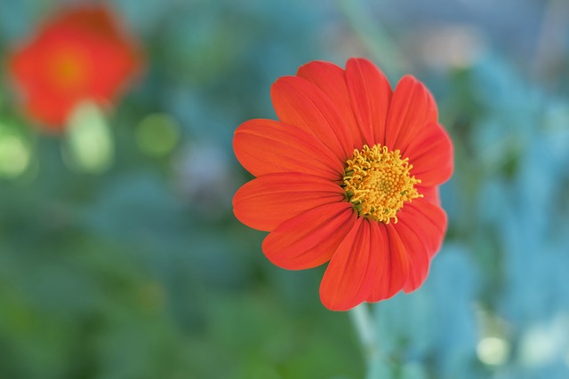 及时的提醒 及时的提醒