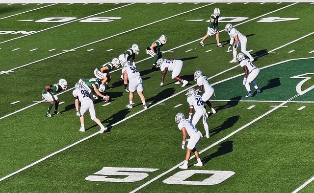 他的语言和 他的语言和