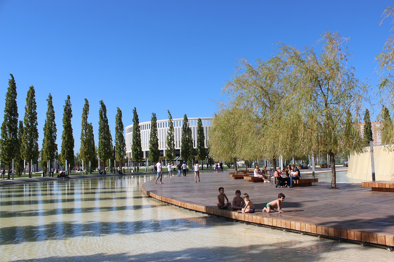 场的桥梁 场的桥梁