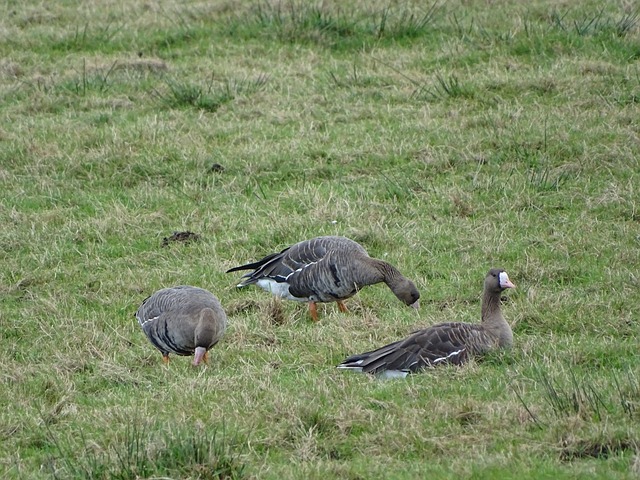 主要受制于 主要受制于