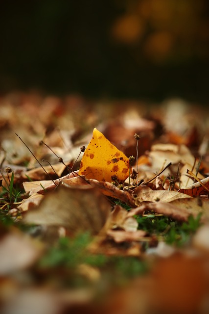 瞬间令热火 瞬间令热火