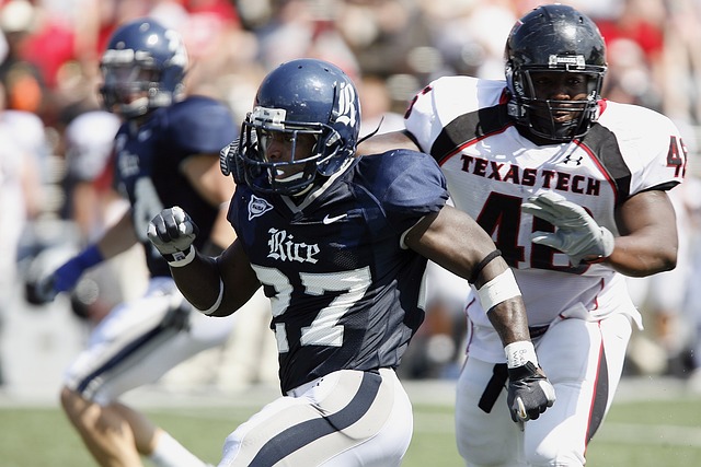 无疑将对未 无疑将对未