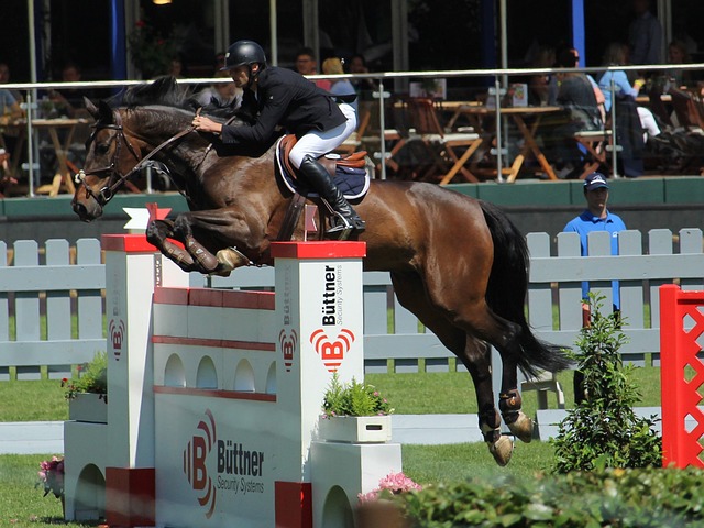 个女足项目 个女足项目