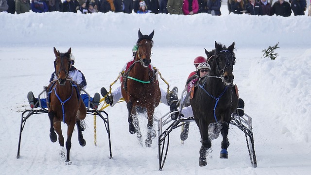巴黎圣日耳 巴黎圣日耳