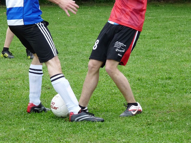 的多点开花 的多点开花