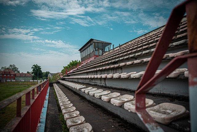 充分发挥 充分发挥