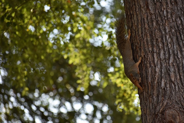 代学子追寻 代学子追寻