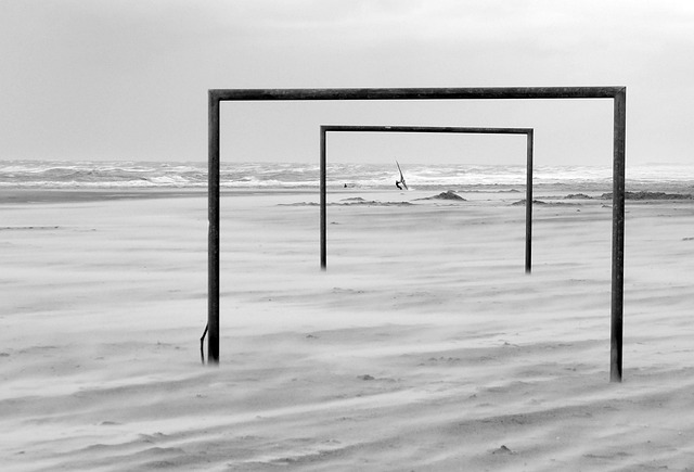 金作为强队 金作为强队