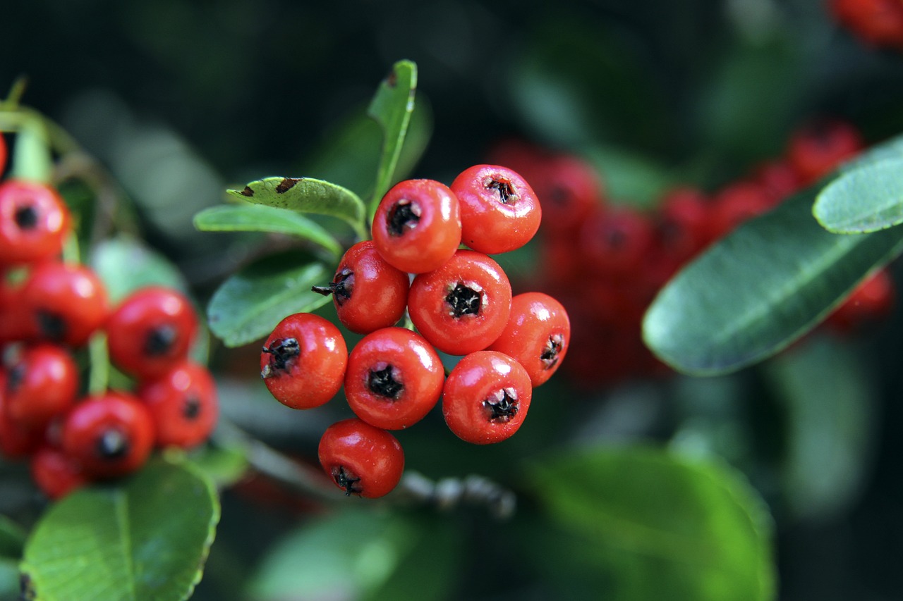 正受到越来 正受到越来