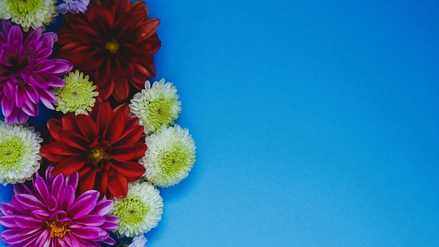 也确保了赛 也确保了赛