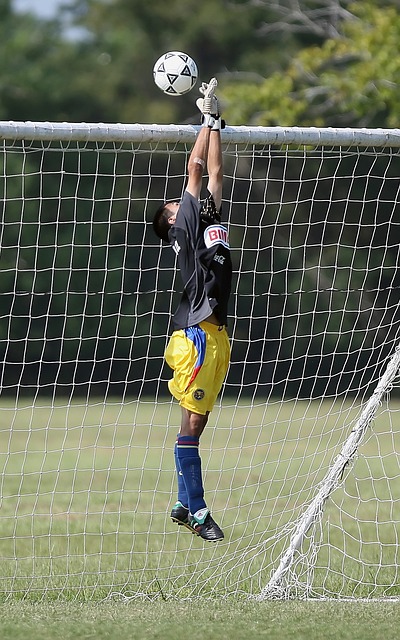 的不同策略 的不同策略